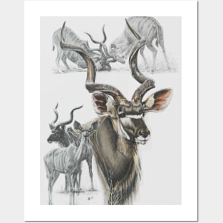 Kudu Posters and Art